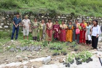 Plants Distribution, Achham