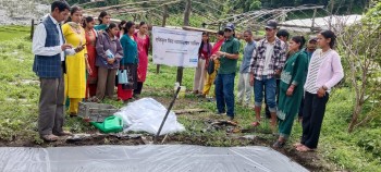 IPM Training
