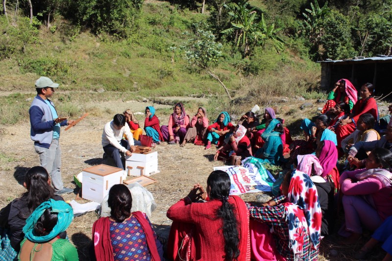 Bee friendly training