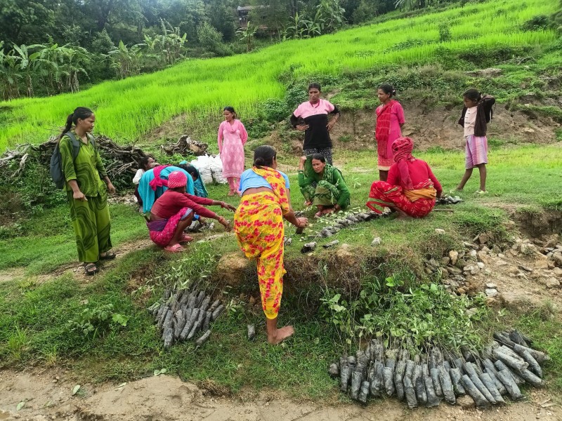 Distribution of Plants for fodder and erosion control