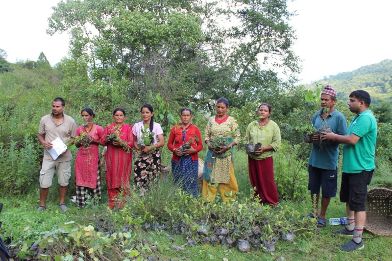 Distribution of Plants for fodder and erosion control