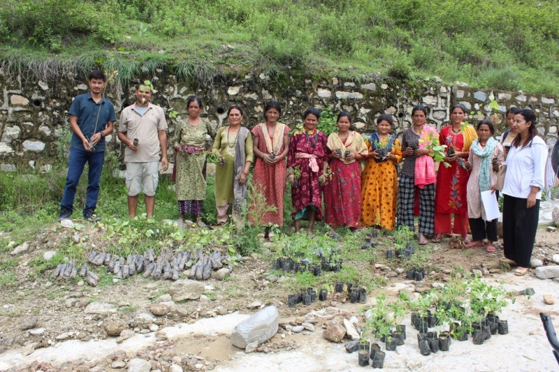 Plants Distribution, Achham
